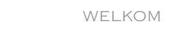 Welkom bij Why Not?